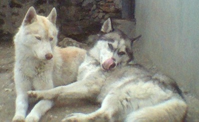 Img0020.JPG